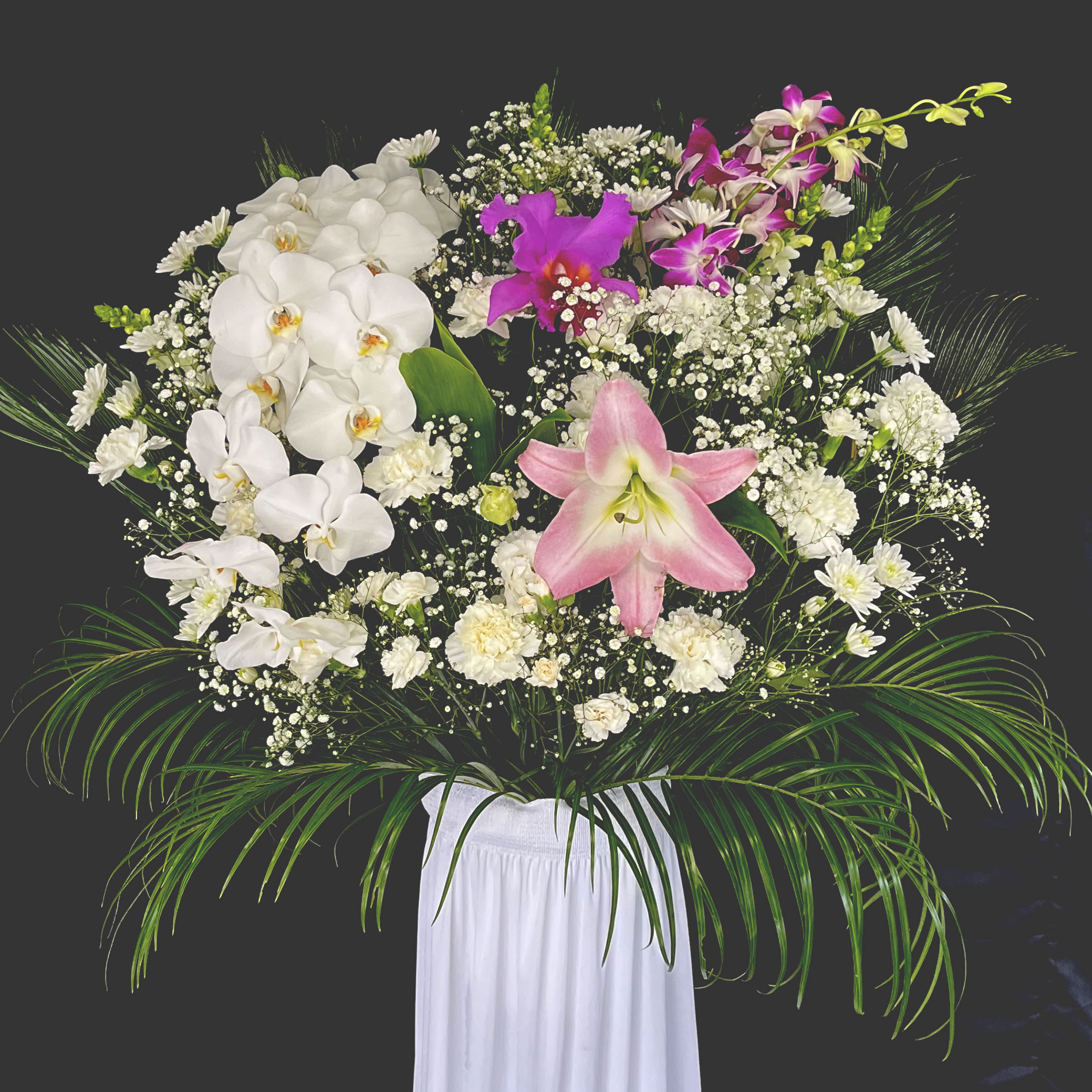 洋花Ｂ型